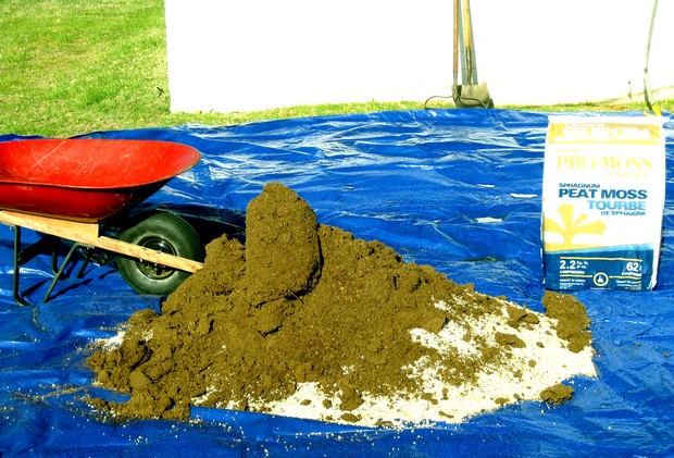 peat moss compressed peat moss compressed