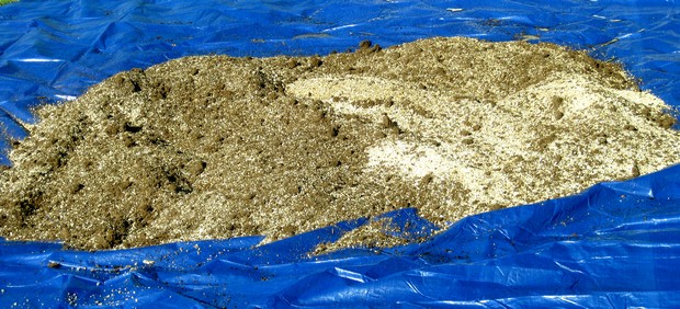 mixing peat moss into vermiculite mixing peat moss into vermiculite