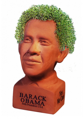 000-1002093350-obama_chia_pet_jpg.png