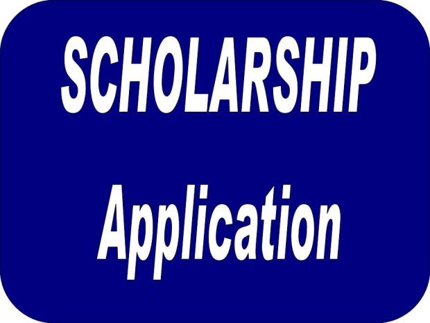 Scholarships available undergraduate courses that focus on free-market economics 