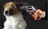 Woman Sues City After Cops Fatally Shoot Dog