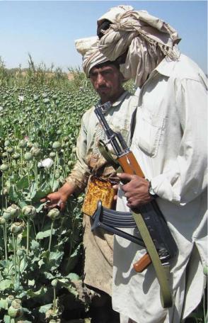 http://www.freedomsphoenix.com/Uploads/Graphics/056-1215162335-taliban-drug.jpg