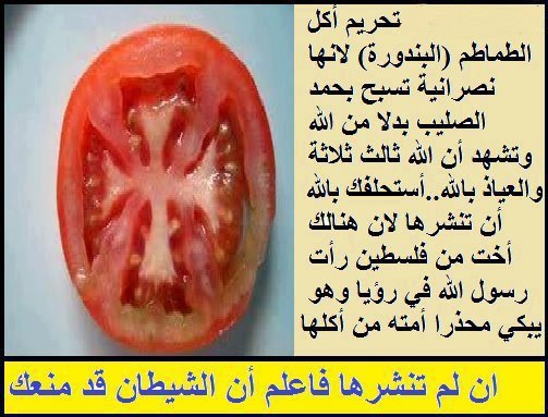 Salafist group warns tomatoes are �Christian�