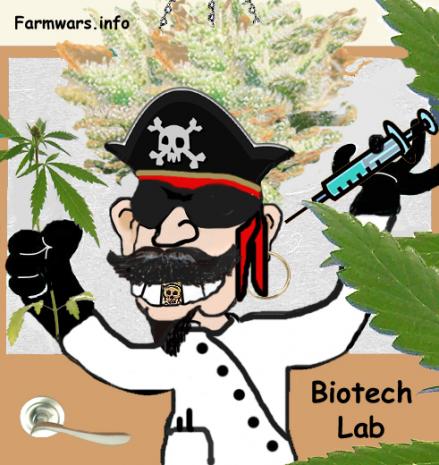 Frankenpot – Marijuana gone GMO!