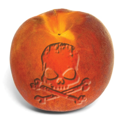 Codex Alimentarius : Control The Food, Control The People