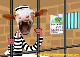 LA County health enforcers conduct door-to-door raw milk confiscation operations