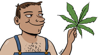 Hemp Farming Seriously Begins