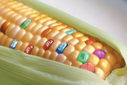 Nature Revolting Against Monsanto