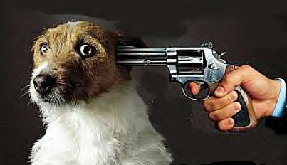 Justice for Chavis Carter