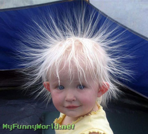 Crazy Hair on 338 1031124704 Crazy Hair Jpg
