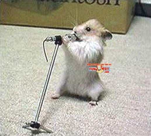 Bio Mouse
