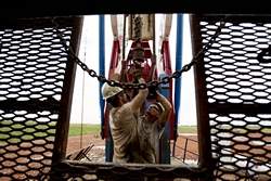 U.S. may soon become world's top oil producer

