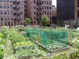 Grow a Garden.