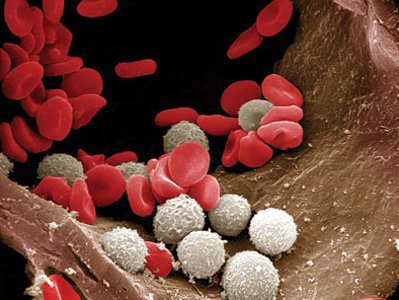 WSJ�s Weird Embrace Of Pseudo Science And The War On Real Science
