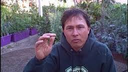 My Home was Searched for Growing Vegetables in my Bathroom