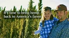 Hemp is legal to grow in nine states, but feds still threaten raids and prison time for farmers 

