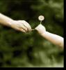 Lend A Hand